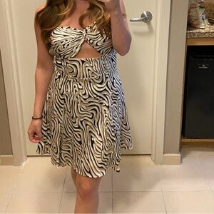 Kittenish Black and White Zebra Mini Dress